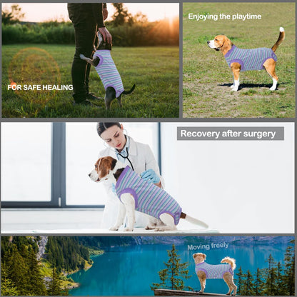 Recovery Suit for Female Dogs, Dog Cone Alternative After Spay
