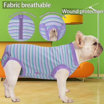 Recovery Suit for Female Dogs, Dog Cone Alternative After Spay