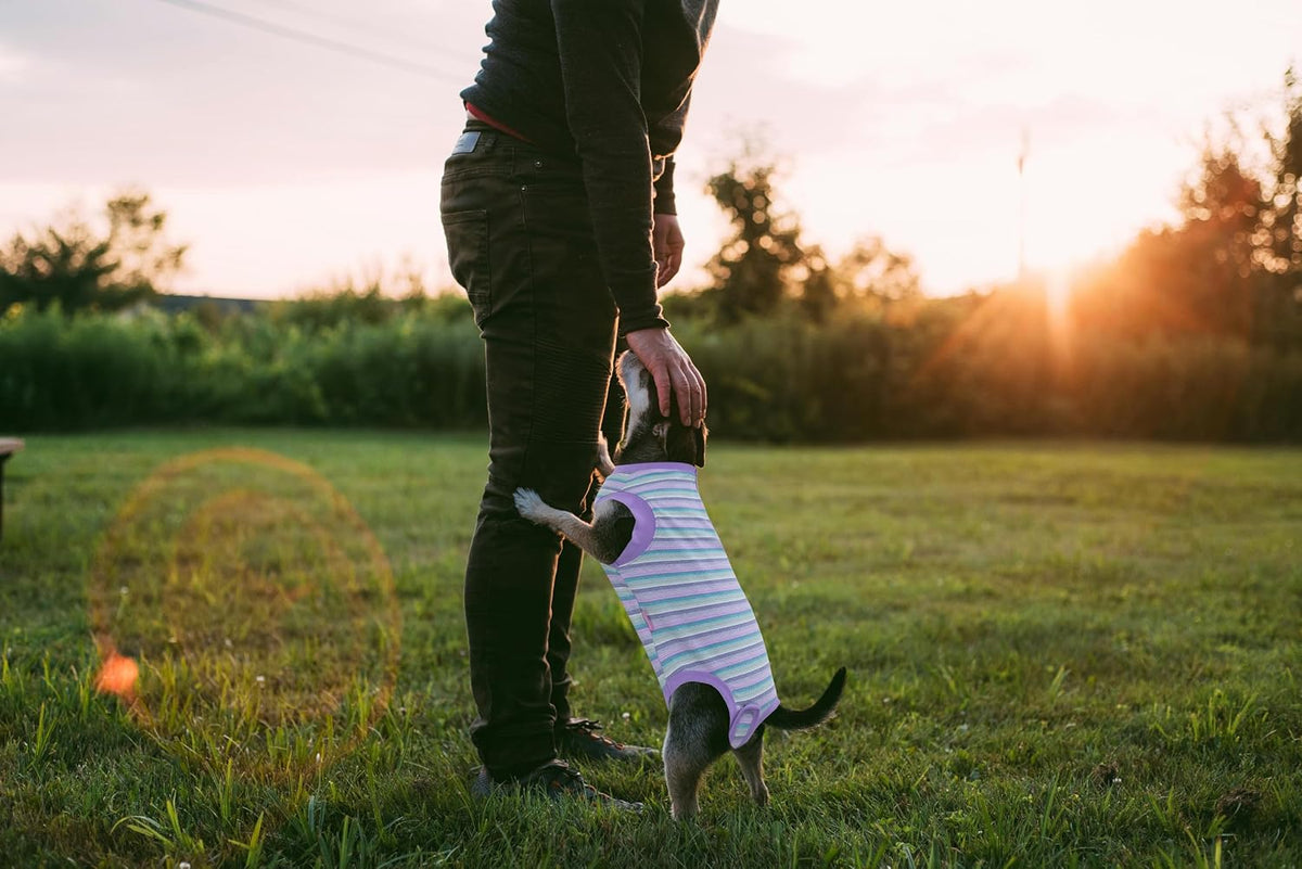 Recovery Suit for Female Dogs, Dog Cone Alternative After Spay