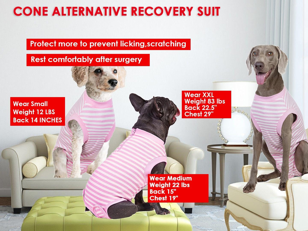 Recovery Suit for Female Dogs, Dog Cone Alternative After Spay