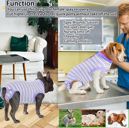 Recovery Suit for Female Dogs, Dog Cone Alternative After Spay