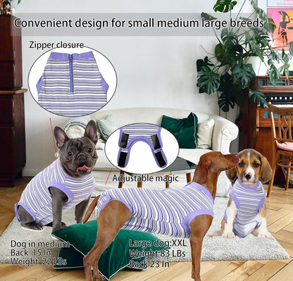 Recovery Suit for Female Dogs, Dog Cone Alternative After Spay