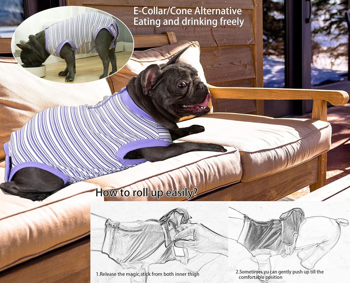 Recovery Suit for Female Dogs, Dog Cone Alternative After Spay