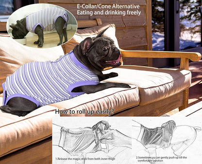 Recovery Suit for Female Dogs, Dog Cone Alternative After Spay