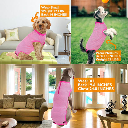Recovery Suit for Female Dogs, Dog Cone Alternative After Spay
