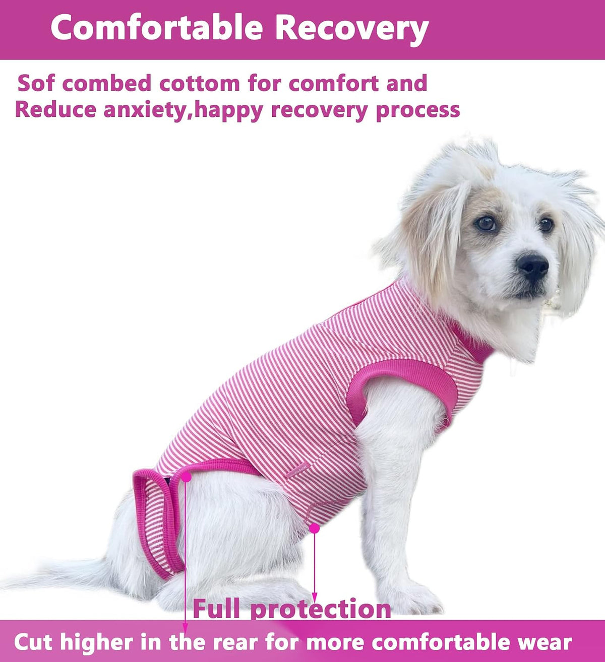 Recovery Suit for Female Dogs, Dog Cone Alternative After Spay