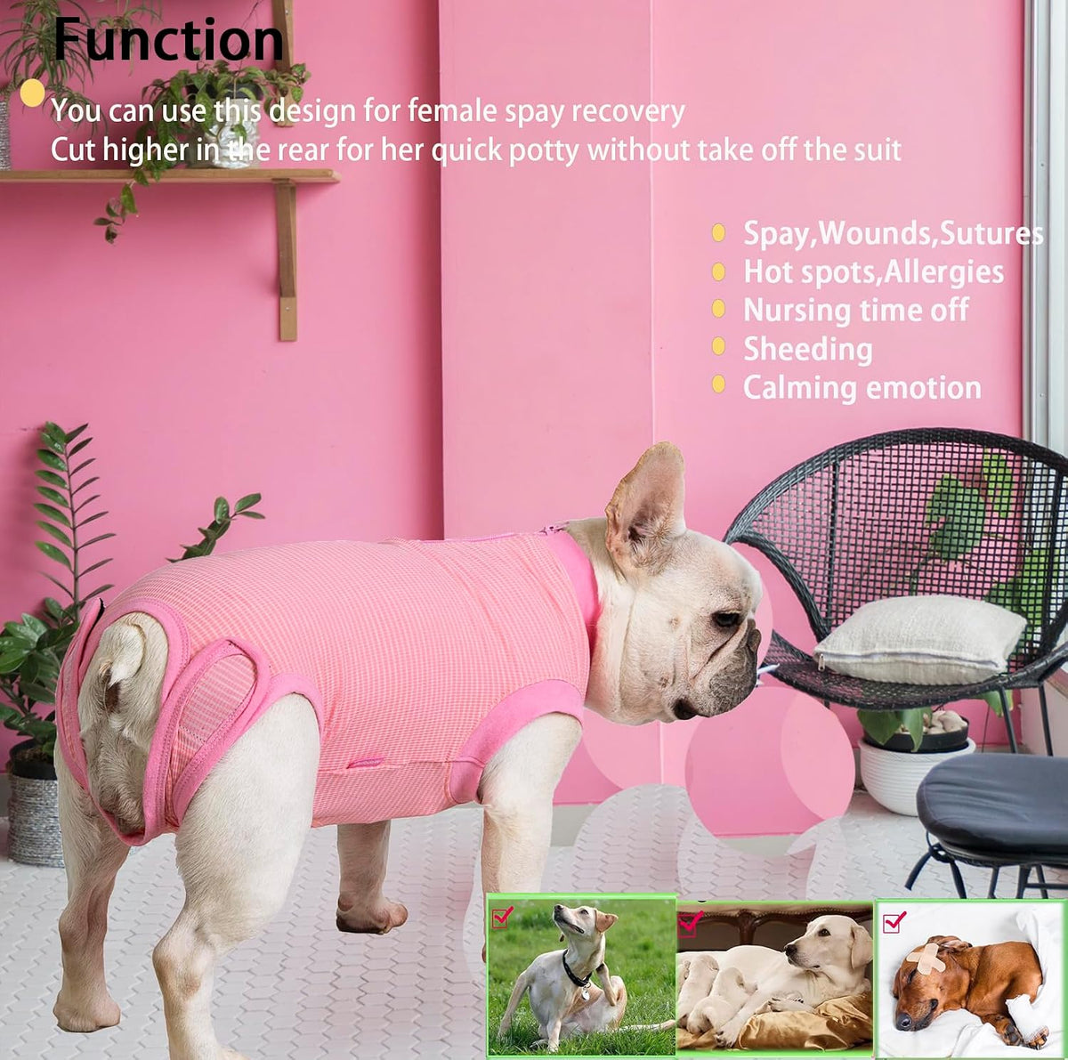 Recovery Suit for Female Dogs, Dog Cone Alternative After Spay