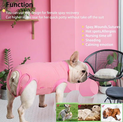 Recovery Suit for Female Dogs, Dog Cone Alternative After Spay