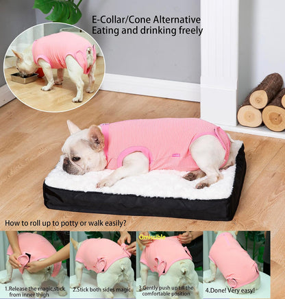 Recovery Suit for Female Dogs, Dog Cone Alternative After Spay