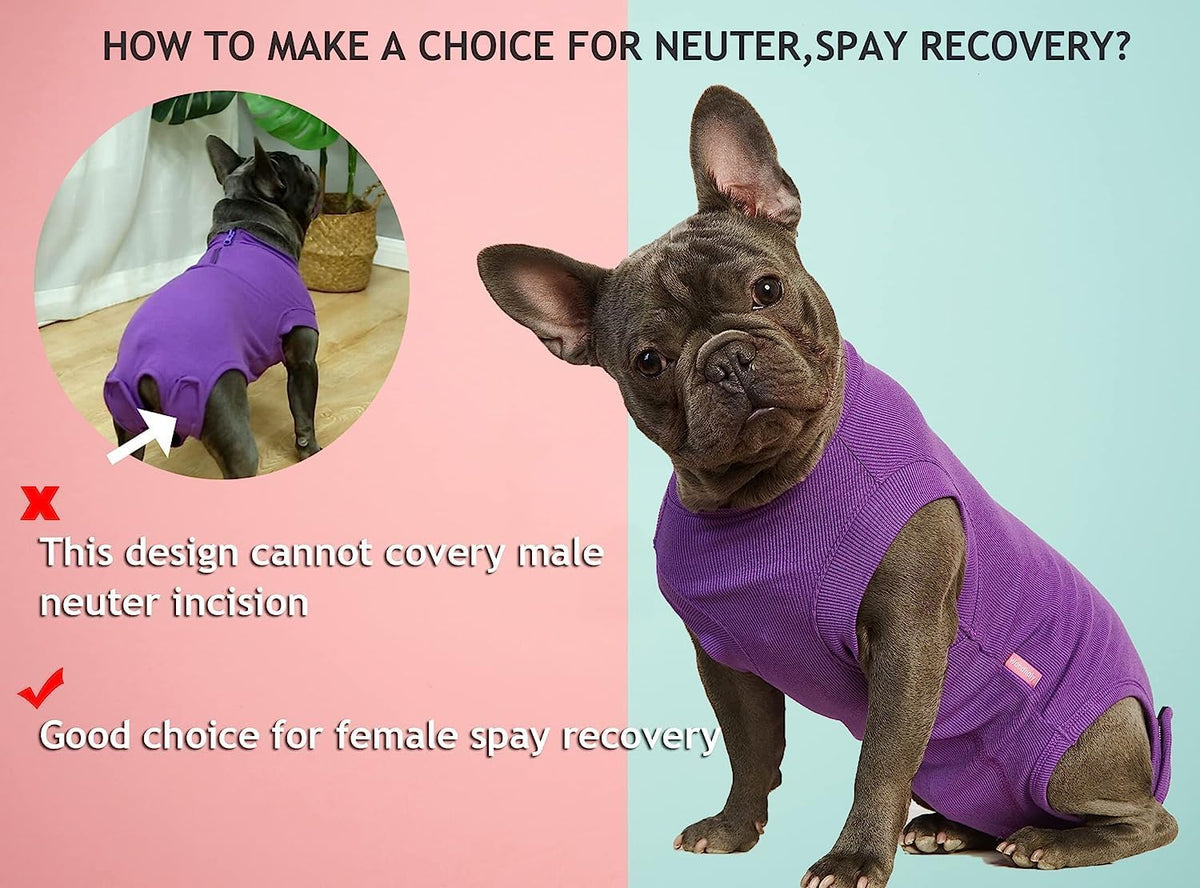 Recovery Suit for Female Dogs, Dog Cone Alternative After Spay