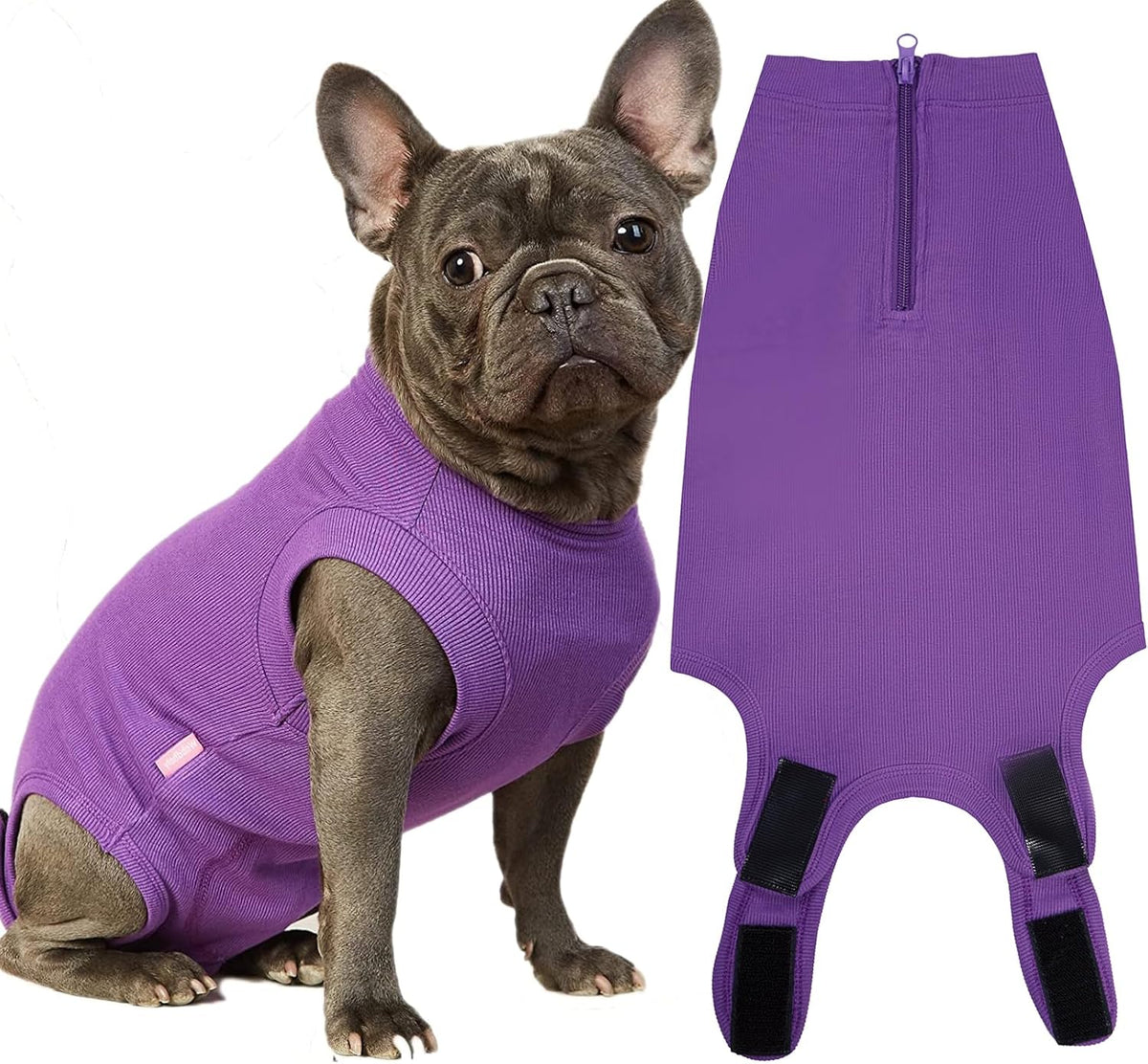 Recovery Suit for Female Dogs, Dog Cone Alternative After Spay