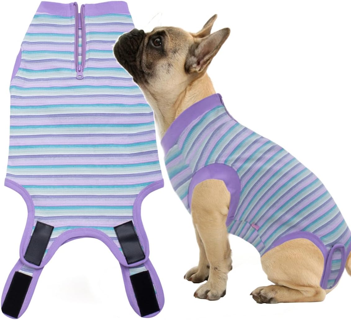 Recovery Suit for Female Dogs, Dog Cone Alternative After Spay