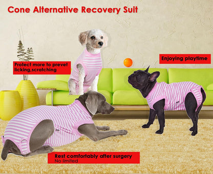Recovery Suit for Female Dogs, Dog Cone Alternative After Spay