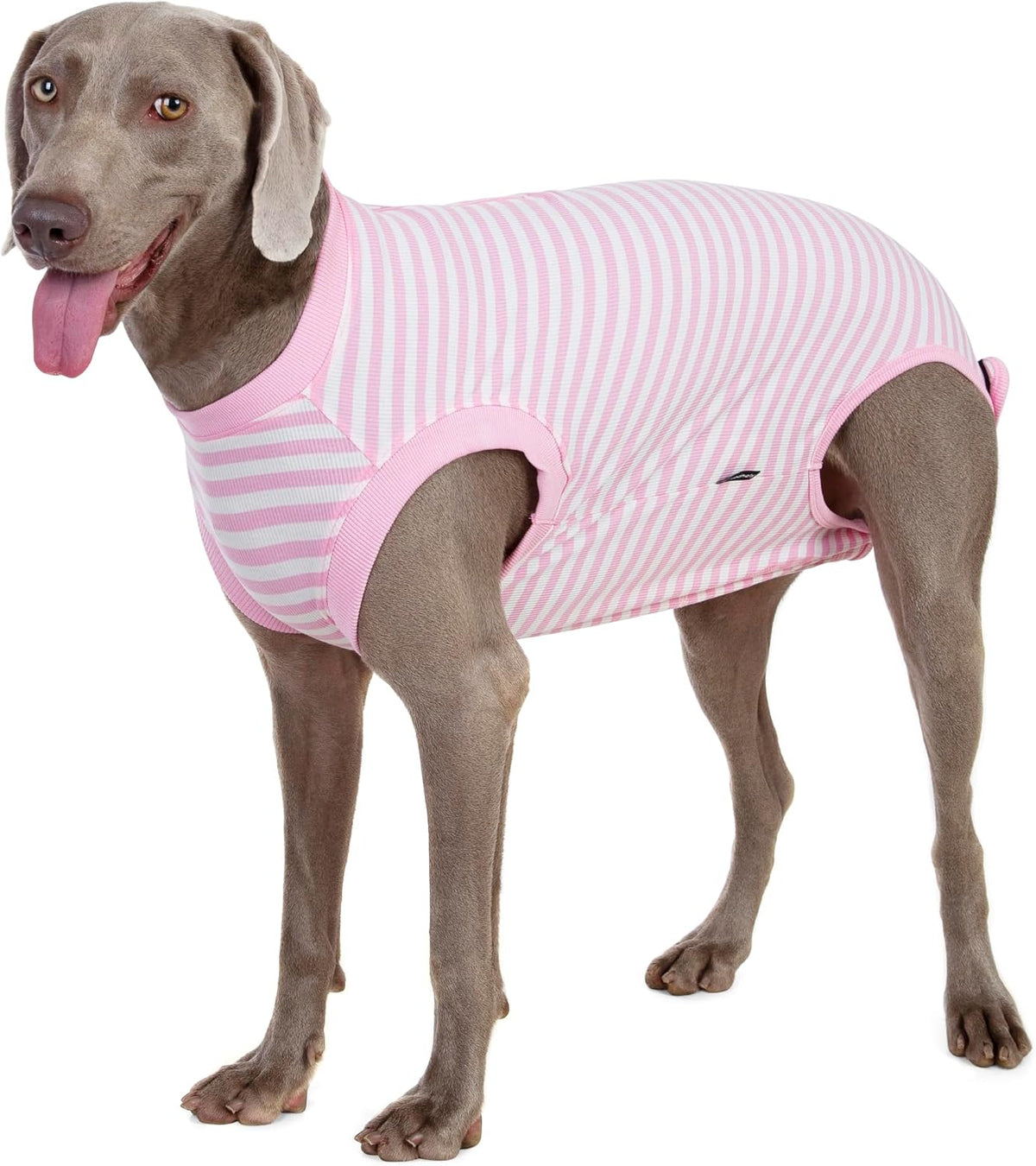 Recovery Suit for Female Dogs, Dog Cone Alternative After Spay