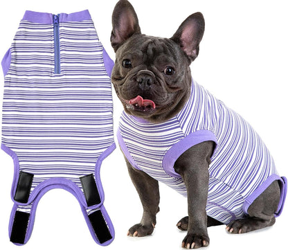 Recovery Suit for Female Dogs, Dog Cone Alternative After Spay