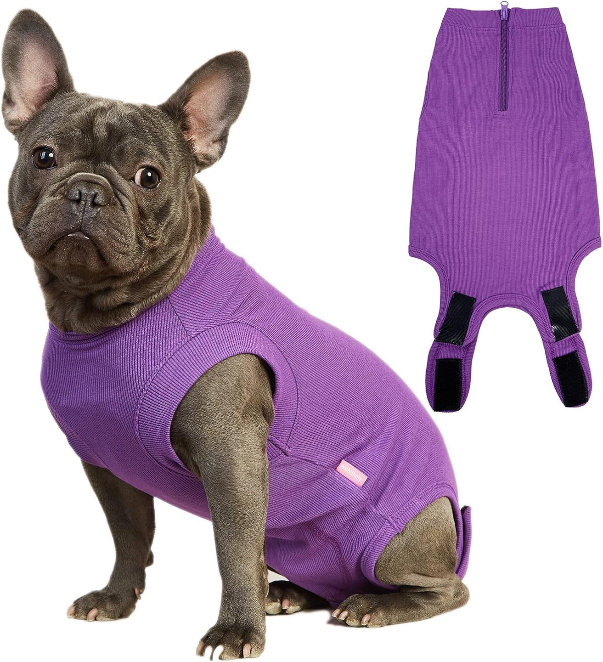 Recovery Suit for Female Dogs, Dog Cone Alternative After Spay