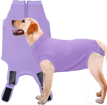 Recovery Suit for Female Dogs, Dog Cone Alternative After Spay