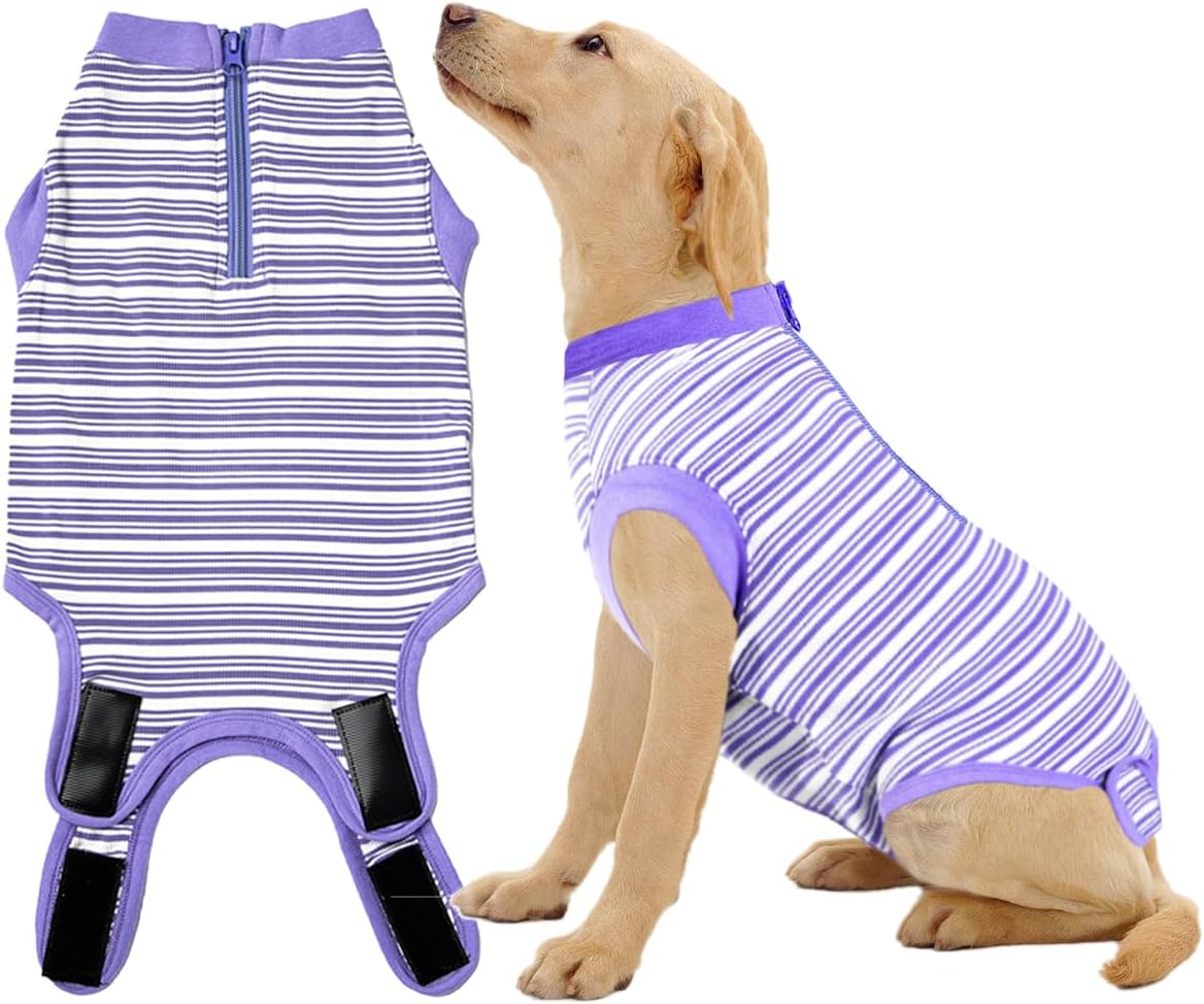 Recovery Suit for Female Dogs, Dog Cone Alternative After Spay