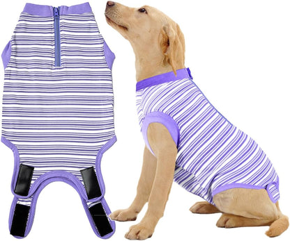 Recovery Suit for Female Dogs, Dog Cone Alternative After Spay
