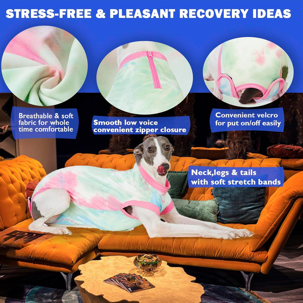 Recovery Suit for Female Dogs, Dog Cone Alternative After Spay
