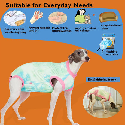 Recovery Suit for Female Dogs, Dog Cone Alternative After Spay