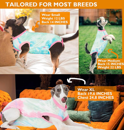 Recovery Suit for Female Dogs, Dog Cone Alternative After Spay