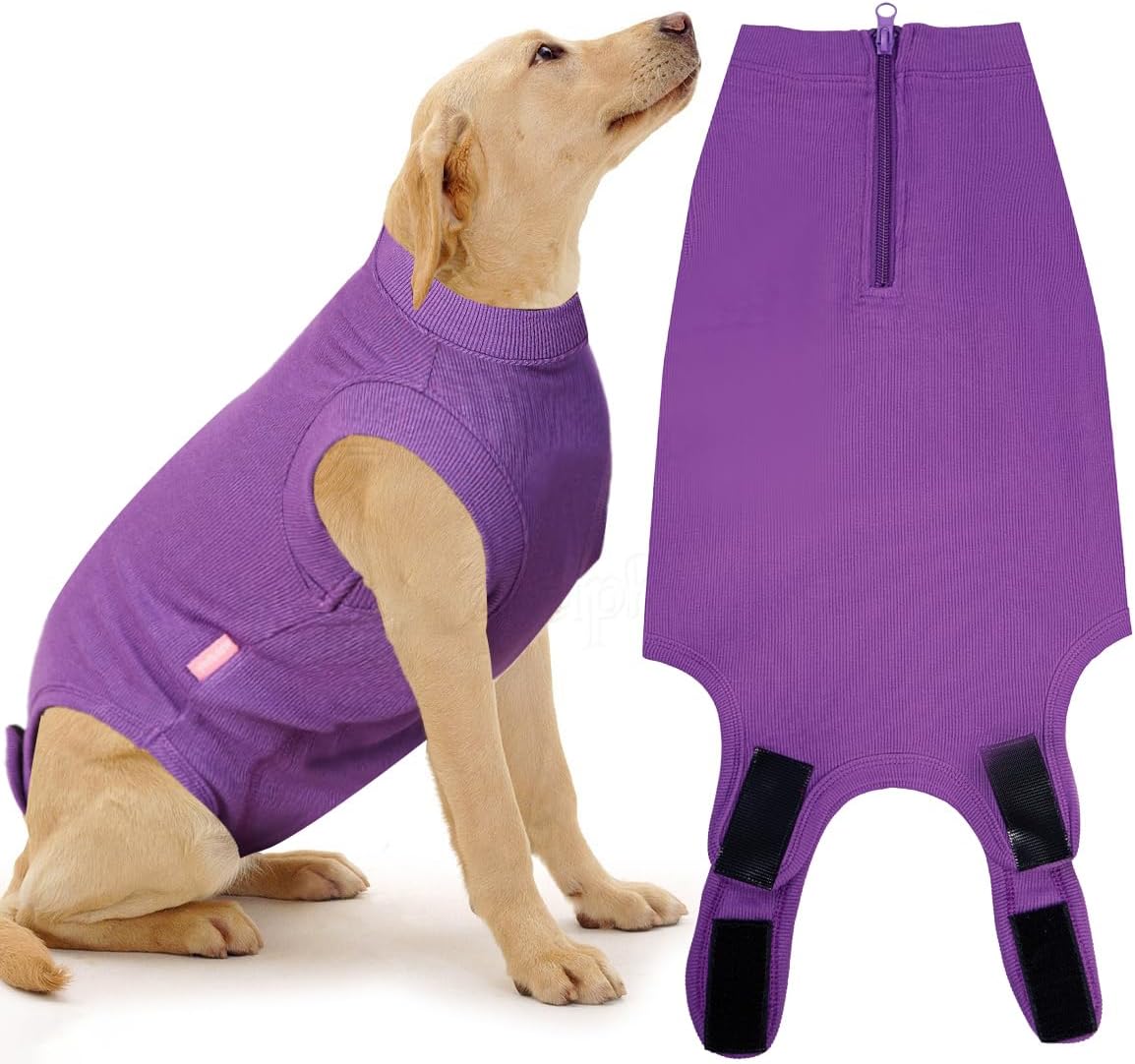 Recovery Suit for Female Dogs, Dog Cone Alternative After Spay