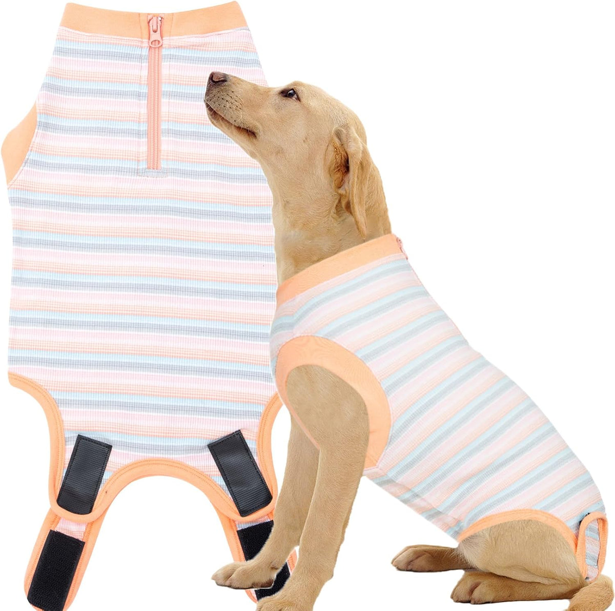 Recovery Suit for Female Dogs, Dog Cone Alternative After Spay