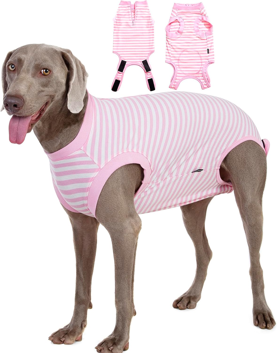 Recovery Suit for Female Dogs, Dog Cone Alternative After Spay