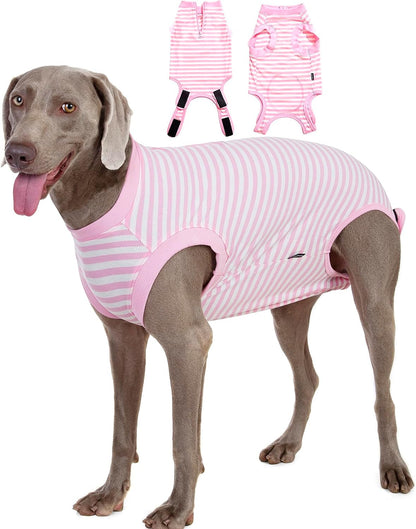 Recovery Suit for Female Dogs, Dog Cone Alternative After Spay