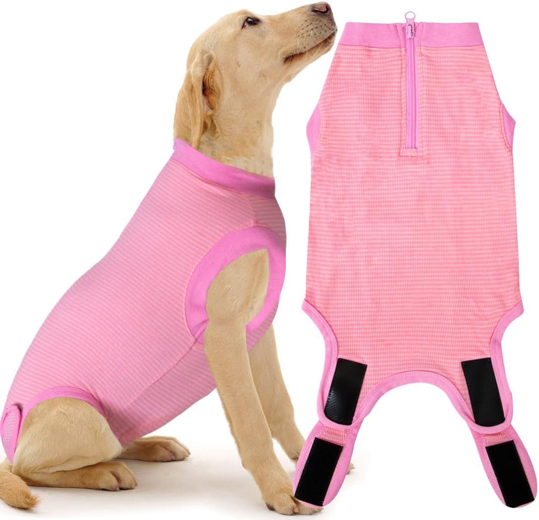 Recovery Suit for Female Dogs, Dog Cone Alternative After Spay