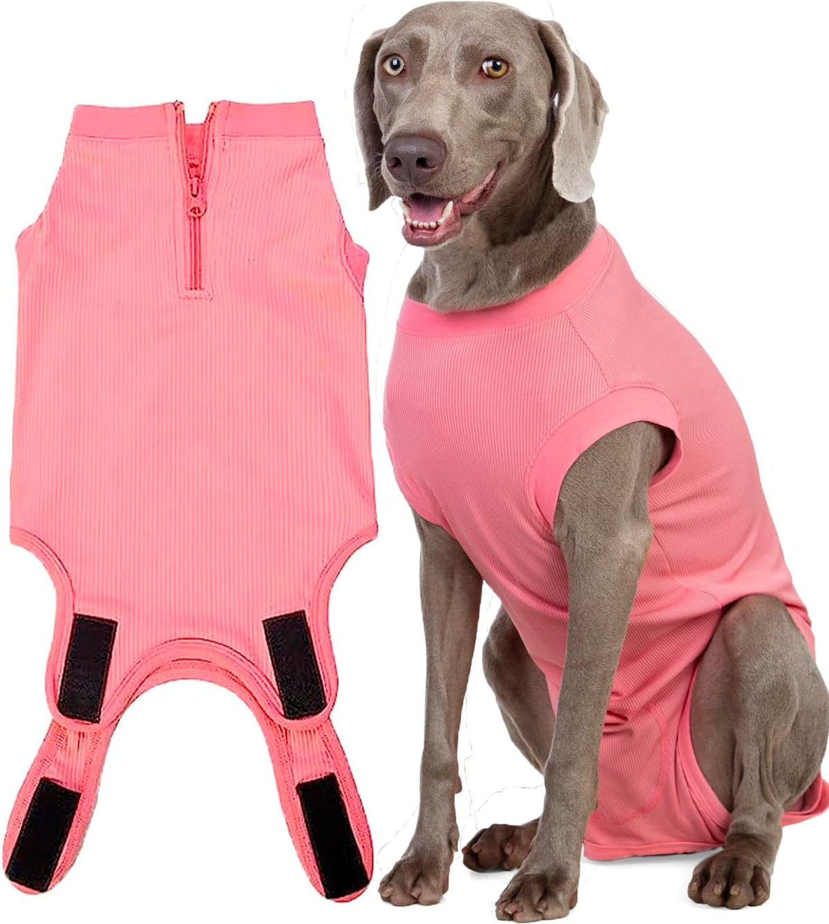 Recovery Suit for Female Dogs, Dog Cone Alternative After Spay