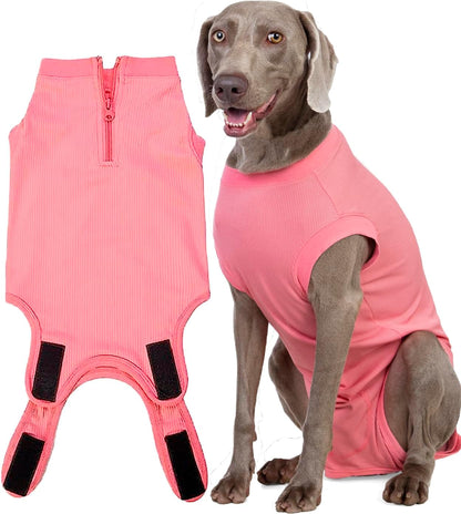 Recovery Suit for Female Dogs, Dog Cone Alternative After Spay