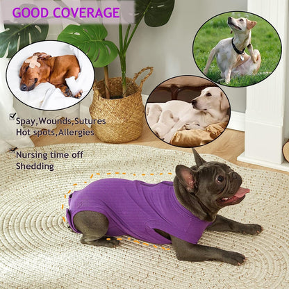 Recovery Suit for Female Dogs, Dog Cone Alternative After Spay