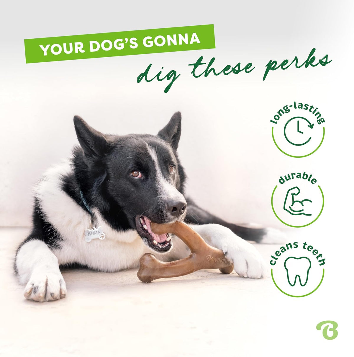 Wishbone Dog Chew Toy for Aggressive Chewers, Real Bacon, Medium