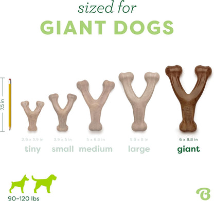 Wishbone Dog Chew Toy for Aggressive Chewers, Real Bacon, Medium