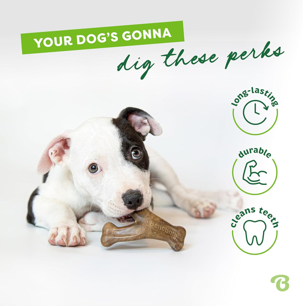Wishbone Dog Chew Toy for Aggressive Chewers, Real Bacon, Medium