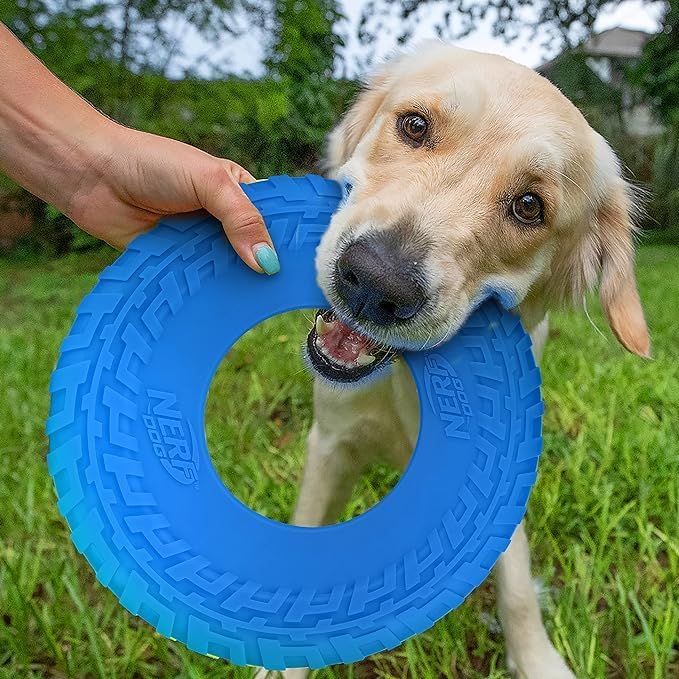Nerf Dog Atomic Flyer Outdoor Dog Toy, 10 Inch Flying Disc Dog Fetch Toy, Rubber Dog Toy for Medium Dogs and Large Dogs, Orange