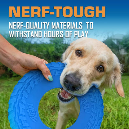 Nerf Dog Atomic Flyer Outdoor Dog Toy, 10 Inch Flying Disc Dog Fetch Toy, Rubber Dog Toy for Medium Dogs and Large Dogs, Orange