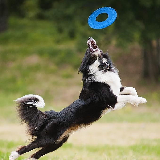 Nerf Dog Atomic Flyer Outdoor Dog Toy, 10 Inch Flying Disc Dog Fetch Toy, Rubber Dog Toy for Medium Dogs and Large Dogs, Orange