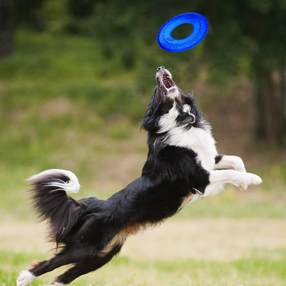Nerf Dog Atomic Flyer Outdoor Dog Toy, 10 Inch Flying Disc Dog Fetch Toy, Rubber Dog Toy for Medium Dogs and Large Dogs, Orange