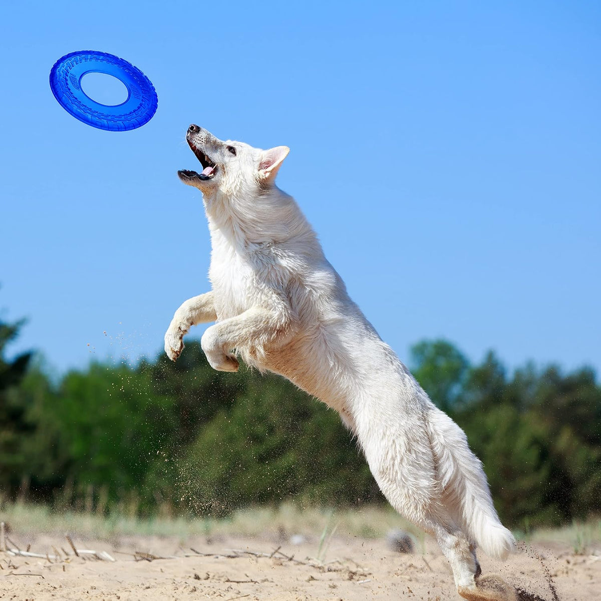 Nerf Dog Atomic Flyer Outdoor Dog Toy, 10 Inch Flying Disc Dog Fetch Toy, Rubber Dog Toy for Medium Dogs and Large Dogs, Orange