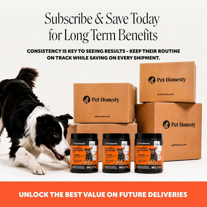 Vet Recommended Hip and Joint Supplement for Dogs, 90 Count