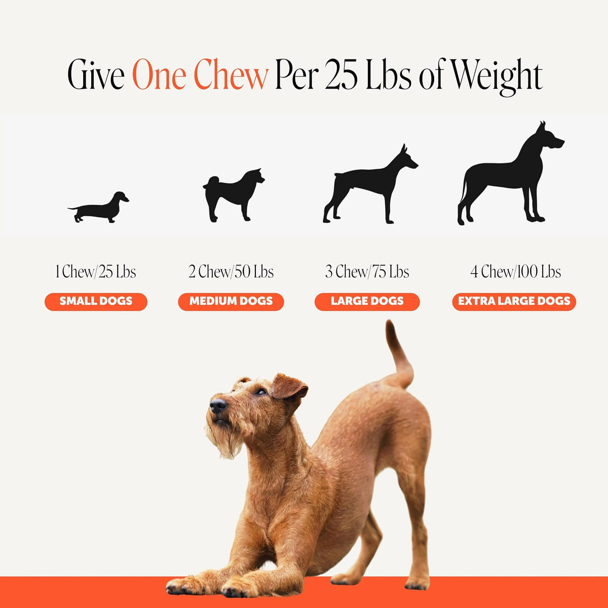 Vet Recommended Hip and Joint Supplement for Dogs, 90 Count