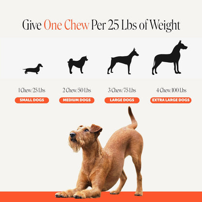 Vet Recommended Hip and Joint Supplement for Dogs, 90 Count
