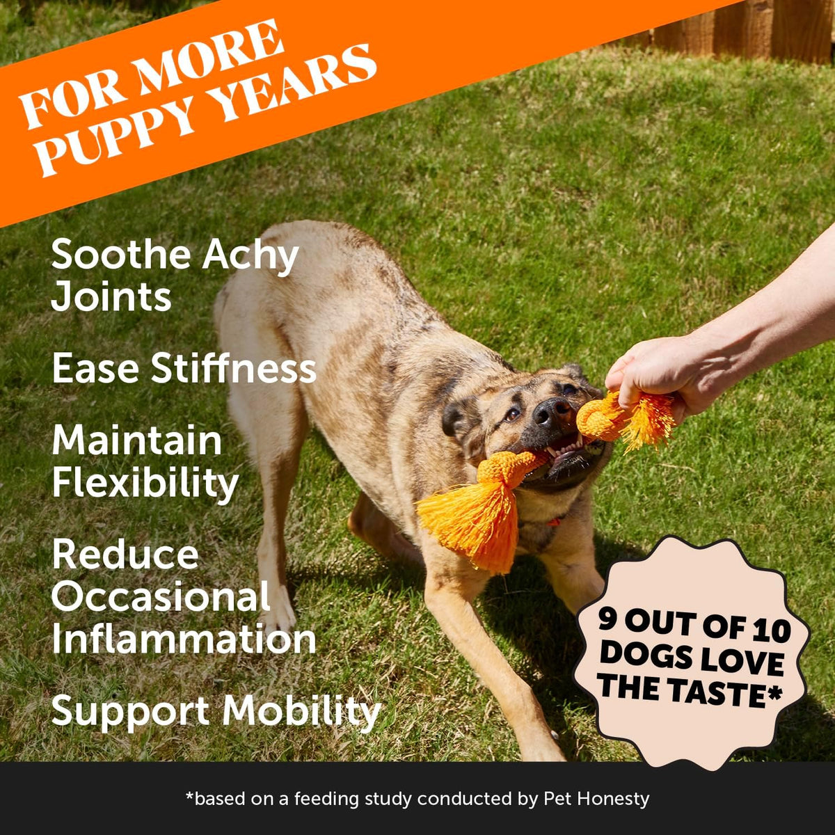 Vet Recommended Hip and Joint Supplement for Dogs, 90 Count
