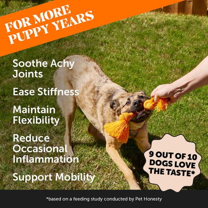 Vet Recommended Hip and Joint Supplement for Dogs, 90 Count