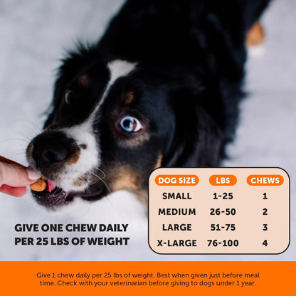 Vet Recommended Hip and Joint Supplement for Dogs, 90 Count