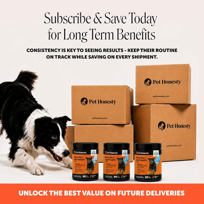 Vet Recommended Hip and Joint Supplement for Dogs, 90 Count