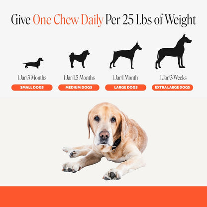 Vet Recommended Hip and Joint Supplement for Dogs, 90 Count